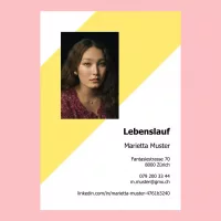 Standard-Lebenslauf 13, Lebenslauf-Layout 13, Lebenslauf-Design 13