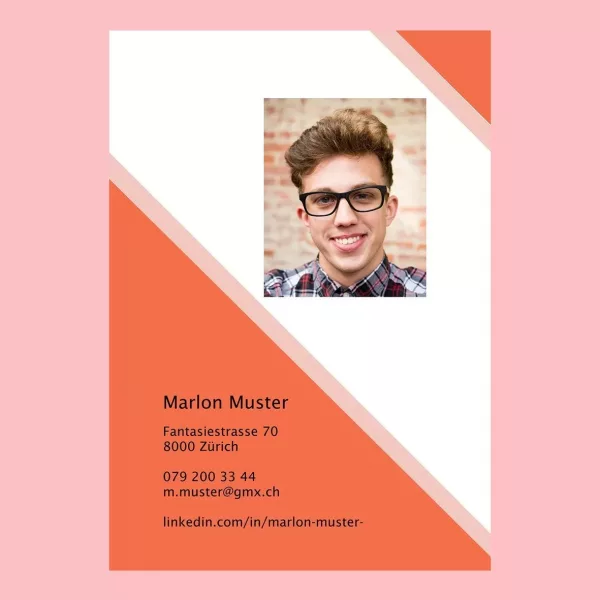 Standard-Lebenslauf 14, Lebenslauf-Layout 14, Lebenslauf-Design 14