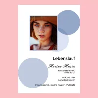 Lebenslauf kaufen Schweiz – Vorlage Nr. 15