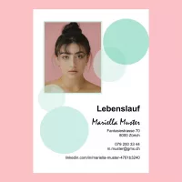 Standard-Lebenslauf 16, Lebenslauf-Layout 16, Lebenslauf-Design 16