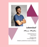 Standard-Lebenslauf 17, Lebenslauf-Layout 17, Lebenslauf-Design 17