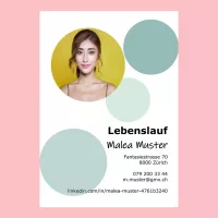 Standard-Lebenslauf 18, Lebenslauf-Layout 18, Lebenslauf-Design 18