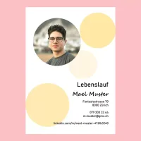 Lebenslauf Layout Schweiz – Vorlage Nr. 19