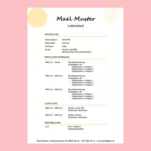 tabellarischer Lebenslauf 19