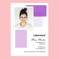 Schweizer Lebenslauf Vorlage – Layout Nr. 20