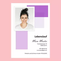 Standard-Lebenslauf 20, Lebenslauf-Layout 20, Lebenslauf-Design 20