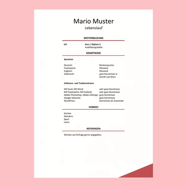 Lebenslauf-Layout 23, Lebenslauf-Design 23