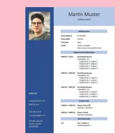 Standard-Lebenslauf 3, Lebenslauf-Layout 3, Lebenslauf-Design 3