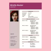 Standard-Lebenslauf 4, Lebenslauf-Layout 4, Lebenslauf-Design 4