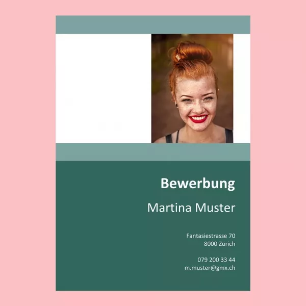 Standard-Lebenslauf 5, Lebenslauf-Layout 5, Lebenslauf-Design 5