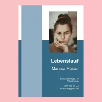 Standard-Lebenslauf 7, Lebenslauf-Layout 7, Lebenslauf-Design 7