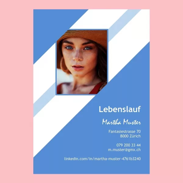 Standard-Lebenslauf 9, Lebenslauf-Layout 9, Lebenslauf-Design 9