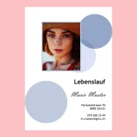 Lebenslauf Lehrstelle Vorlage Schweiz – Layout Nr. S12