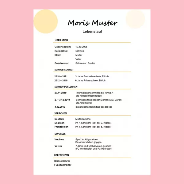 Standard-Lebenslauf Schüler 14, klassischer Lebenslauf Schüler 14, tabellarischer Lebenslauf 14