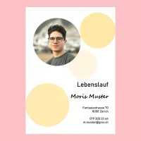 Lebenslauf Lehrstelle Schweiz – Vorlage Nr. S14