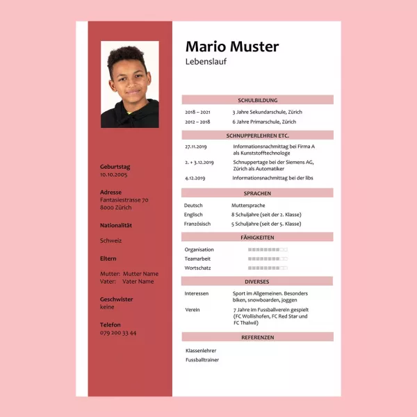 Standard-Lebenslauf Schüler 8, klassischer Lebenslauf Schüler 8, tabellarischer Lebenslauf 8