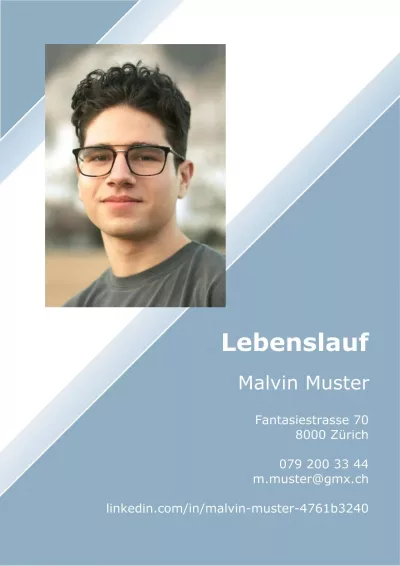 Klassischer Lebenslauf 11, Tabellarischer Lebenslauf 11, Standard-Lebenslauf 11, Lebenslauf Layout 11, Lebenslauf Design 11