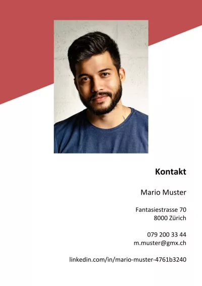 Klassischer Lebenslauf 12, Tabellarischer Lebenslauf 12, Standard-Lebenslauf 12, Lebenslauf Layout 12, Lebenslauf Design 12