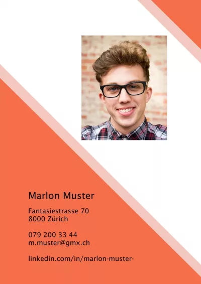 Klassischer Lebenslauf 14, Tabellarischer Lebenslauf 14, Standard-Lebenslauf 14, Lebenslauf Layout 14, Lebenslauf Design 14