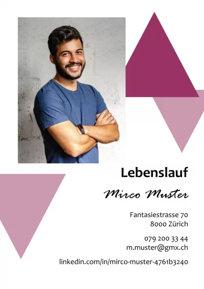 Klassischer Lebenslauf 17, Tabellarischer Lebenslauf 17, Standard-Lebenslauf 17, Lebenslauf Layout 17, Lebenslauf Design 17