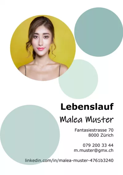 Klassischer Lebenslauf 18, Tabellarischer Lebenslauf 18, Standard-Lebenslauf 18, Lebenslauf Layout 18, Lebenslauf Design 18