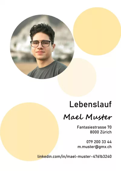 Klassischer Lebenslauf 19, Tabellarischer Lebenslauf 19, Standard-Lebenslauf 19, Lebenslauf Layout 19, Lebenslauf Design 19