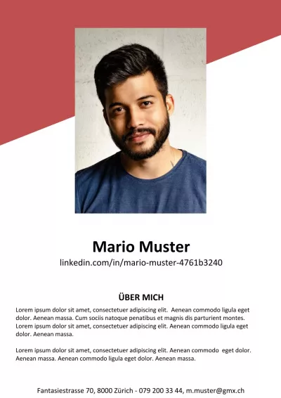 Lebenslauf Plus 23, CV Plus 23, ausführlicher Lebenslauf 23, Lebenslauf Layout 23, Lebenslauf Design 23