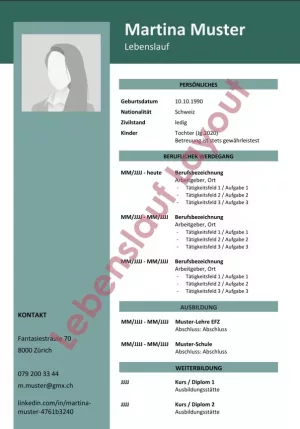 Gut zur Ausführung für Lebenslauf