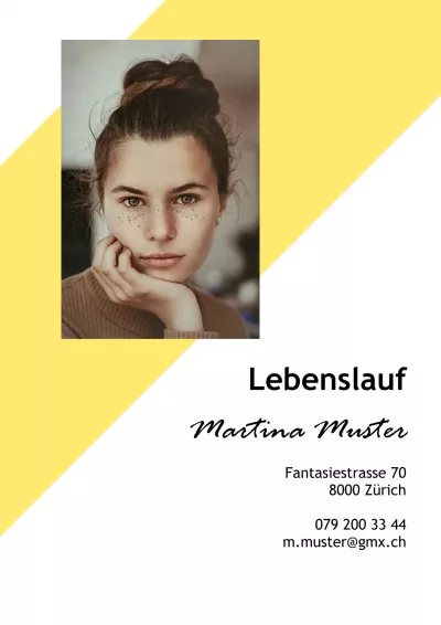 Standard-Lebenslauf Schüler 10, tabellarischer Lebenslauf Schüler 10, klassischer Lebenslauf Schüler 10, Lebenslauf Layout Schüler 10, Lebenslauf Design Schüler 10