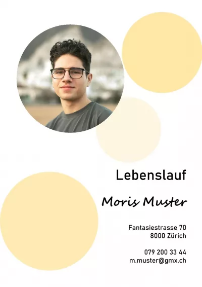 Standard-Lebenslauf Schüler 14, tabellarischer Lebenslauf Schüler 14, klassischer Lebenslauf Schüler 14, Lebenslauf Layout Schüler 14, Lebenslauf Design Schüler 14